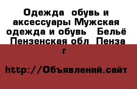 Одежда, обувь и аксессуары Мужская одежда и обувь - Бельё. Пензенская обл.,Пенза г.